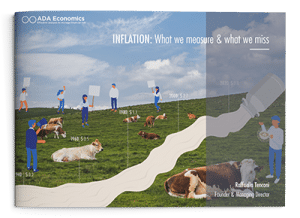 INFLATION: What we measure & what we miss